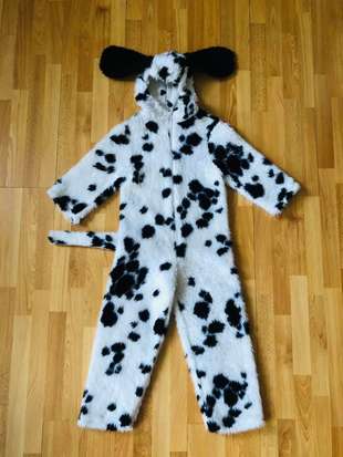 Dalmati&euml;r (104)